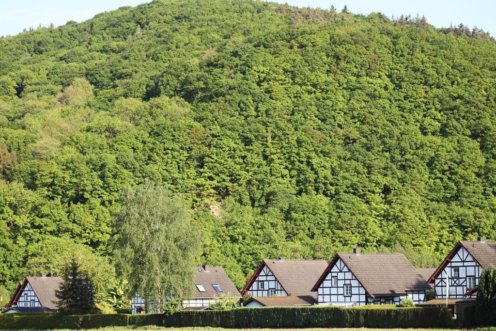 Bos En Kasteel Apartment Nideggen Bagian luar foto